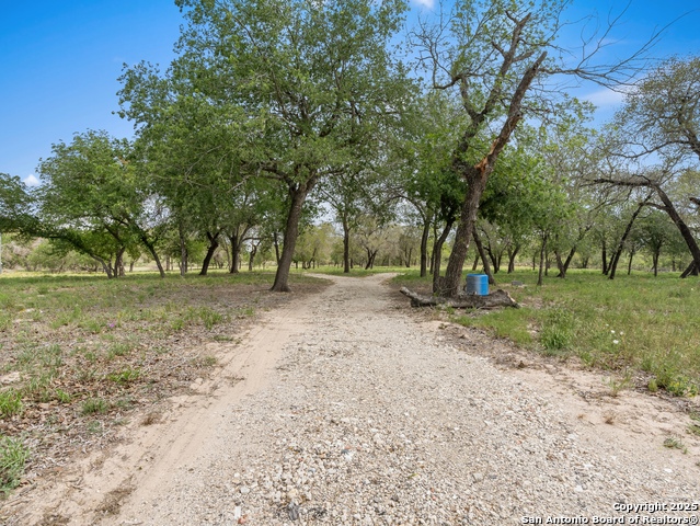 2975 County Road 120 Property Photo 3