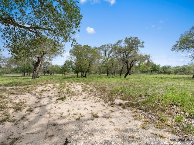 2975 County Road 120 Property Photo 6
