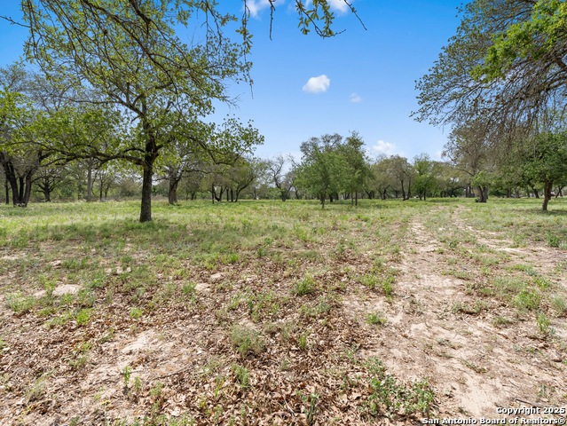 2975 County Road 120 Property Photo 7