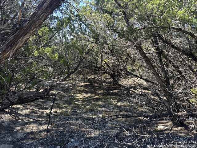 Lot 191 Antler Run Property Photo 1