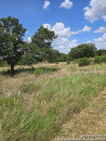 1961 Zinfandel Property Photo 2