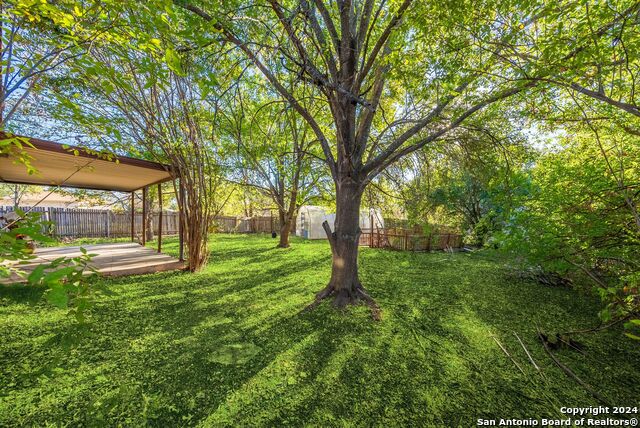 11415 Rousseau St Property Photo 28