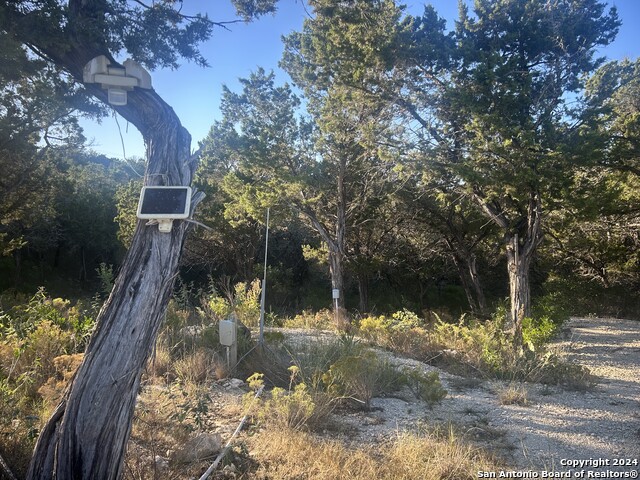 1111 Blue Bill Cove Property Photo 3