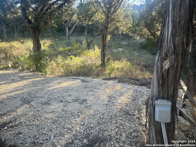 1111 Blue Bill Cove Property Photo 7