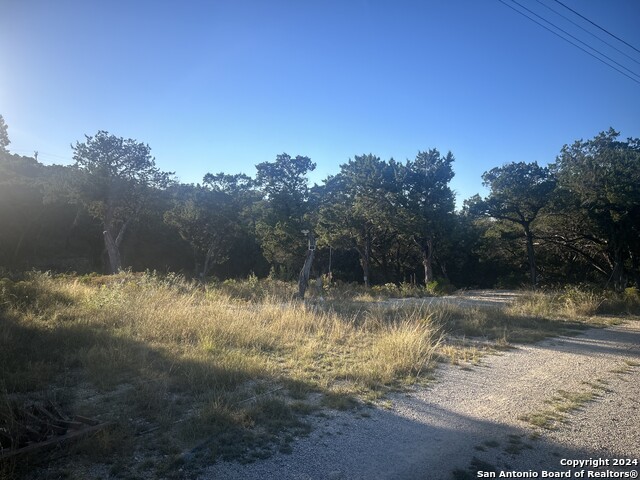1111 Blue Bill Cove Property Photo 8