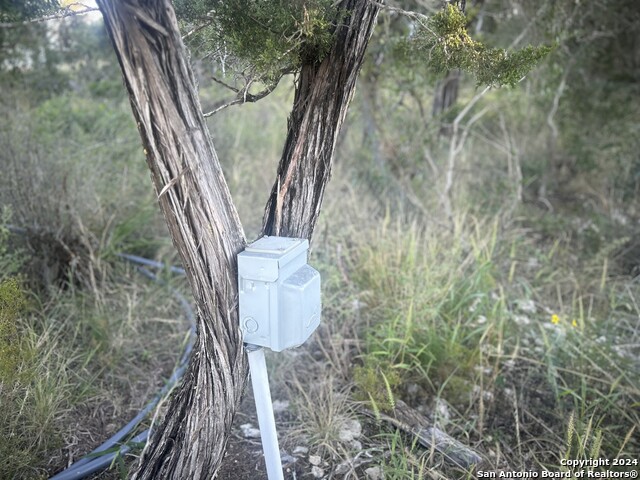 1111 Blue Bill Cove Property Photo 9