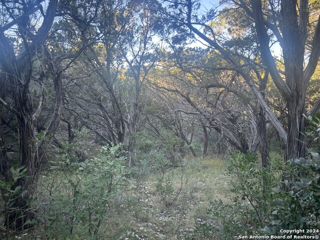 1111 Blue Bill Cove Property Photo 10