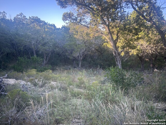 1111 Blue Bill Cove Property Photo 11
