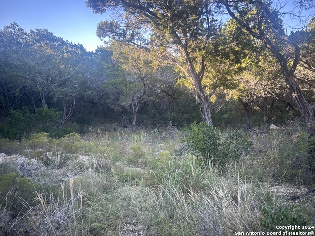 1111 Blue Bill Cove Property Photo 12