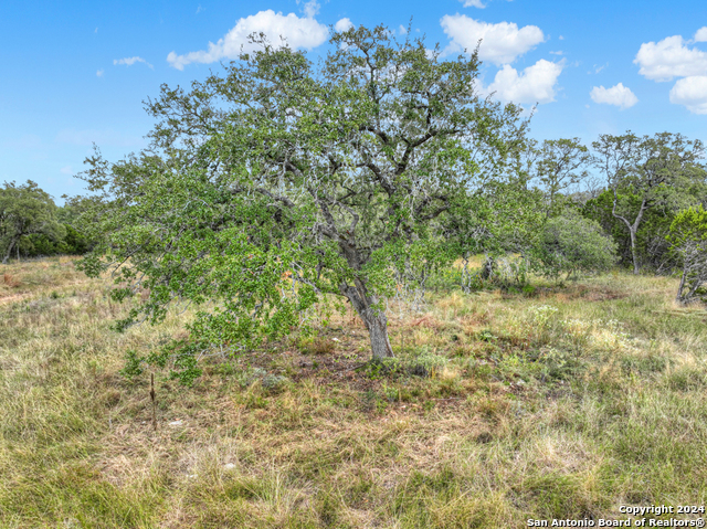 1416 Powder Ridge Property Photo 3