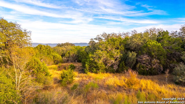 111 Hondo Oaks Property Photo 2