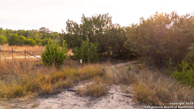 111 Hondo Oaks Property Photo 5
