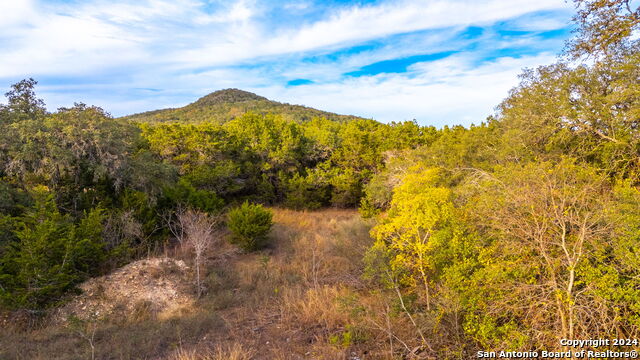 111 Hondo Oaks Property Photo 6