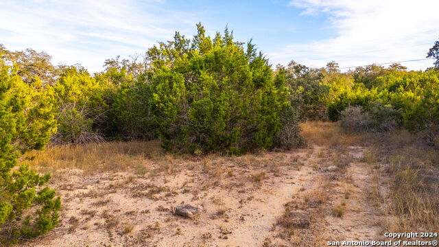 111 Hondo Oaks Property Photo 7