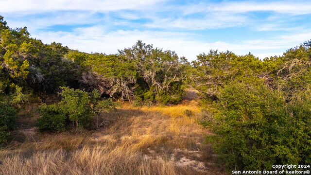 111 Hondo Oaks Property Photo 15