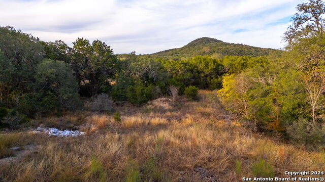 111 Hondo Oaks Property Photo 17