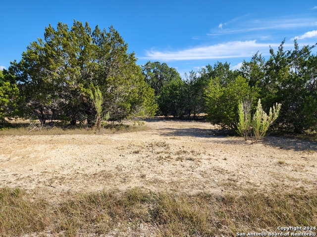 2045 Desiree St Property Photo 2