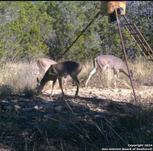 235 Private Road 235 Lot 2 Property Photo 1