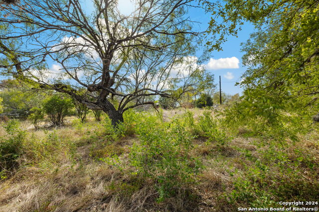 718 W Villaret Blvd Property Photo 2
