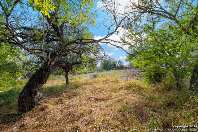 718 W Villaret Blvd Property Photo 15