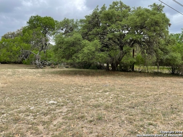 6463 Hollyhock Property Photo 3