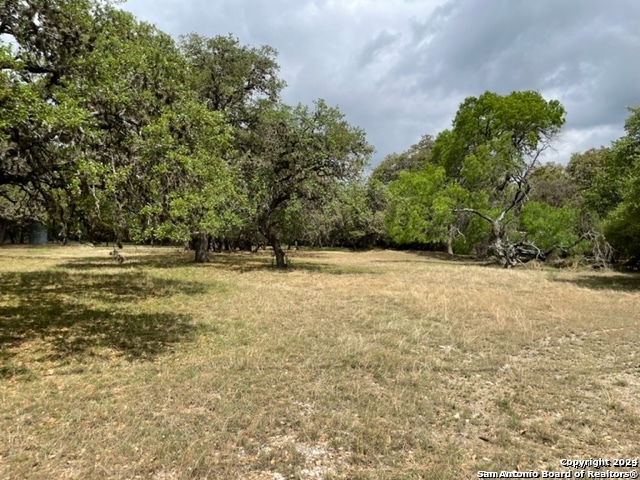 6463 Hollyhock Property Photo 4