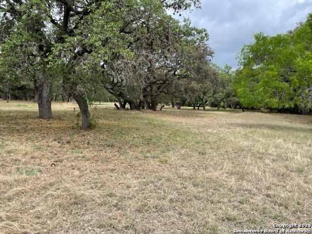 6463 Hollyhock Property Photo 6