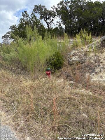 2660 Rocky Ridge Loop Property Photo 2