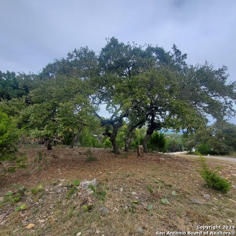 152 Mountainview Dr Property Photo 9