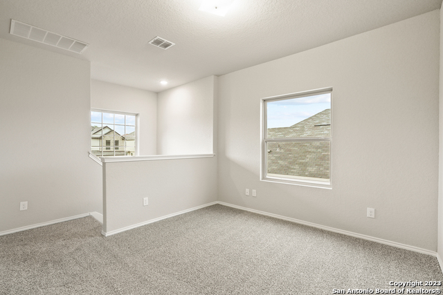 9311 Graze Land Drive Property Photo 16