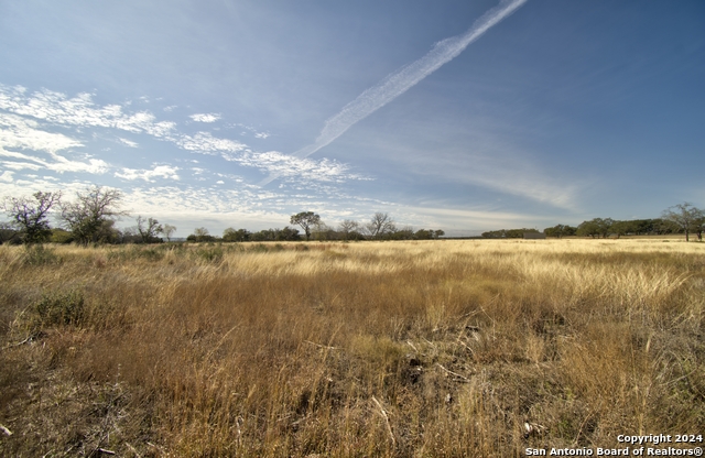 158 Seep Springs Property Photo 6