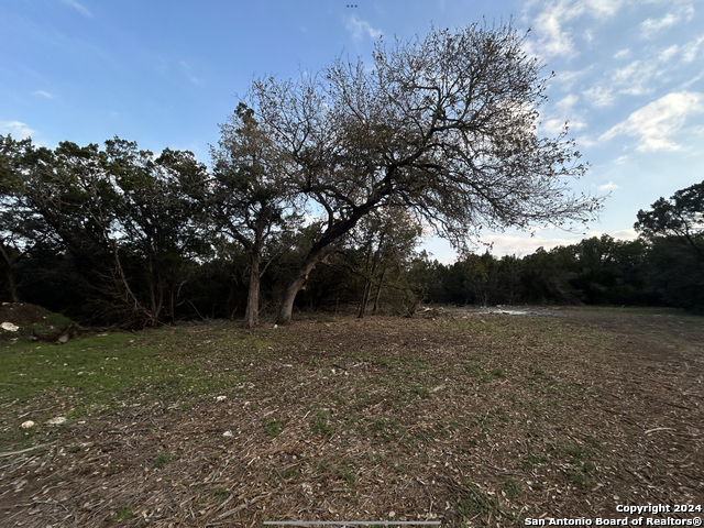 917 First Fork Property Photo 3