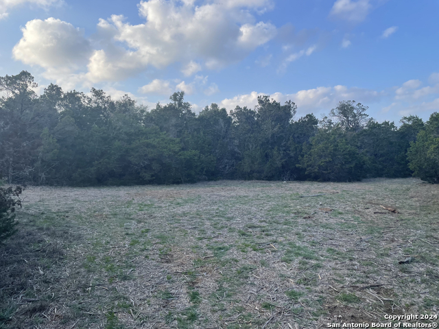 917 First Fork Property Photo 4