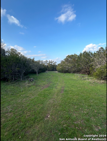 917 First Fork Property Photo 5