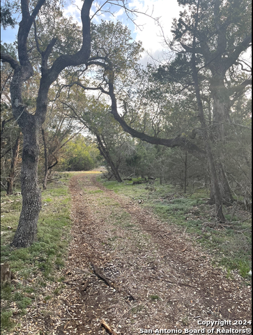 917 First Fork Property Photo 6