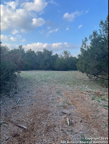 917 First Fork Property Photo 8