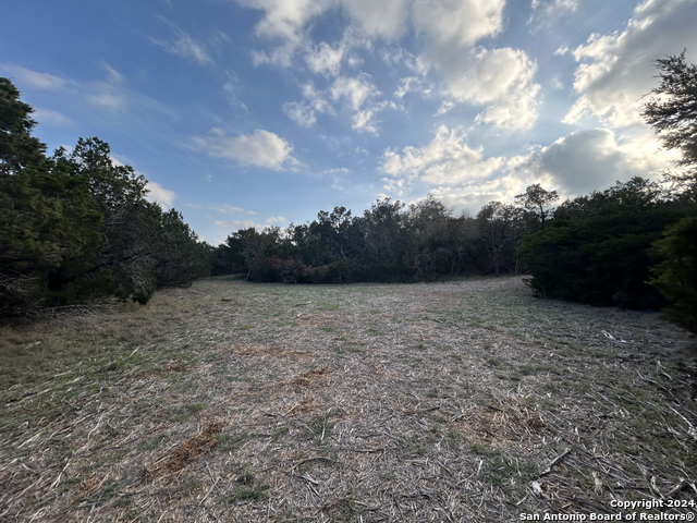 917 First Fork Property Photo 12
