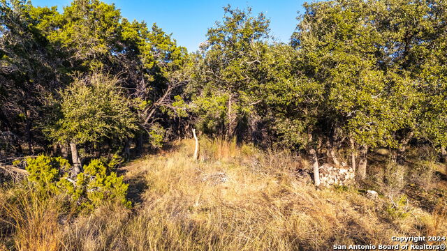 1762 Paradise Pkwy Property Photo 10