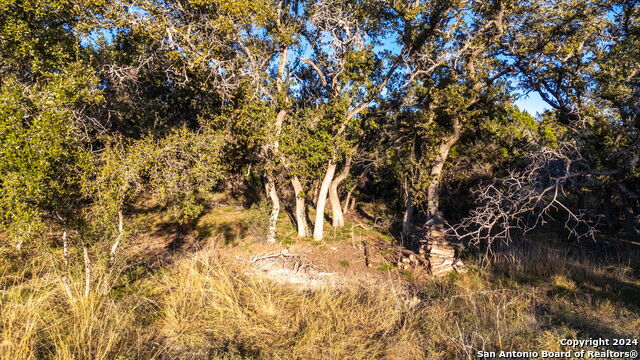 1762 Paradise Pkwy Property Photo 11