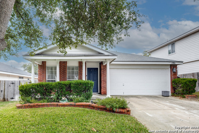 1311 Lion King Property Photo 1