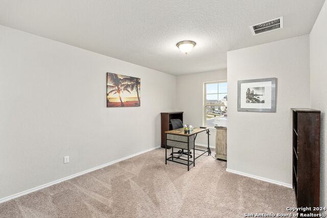 3354 Rancho Grande Property Photo 17