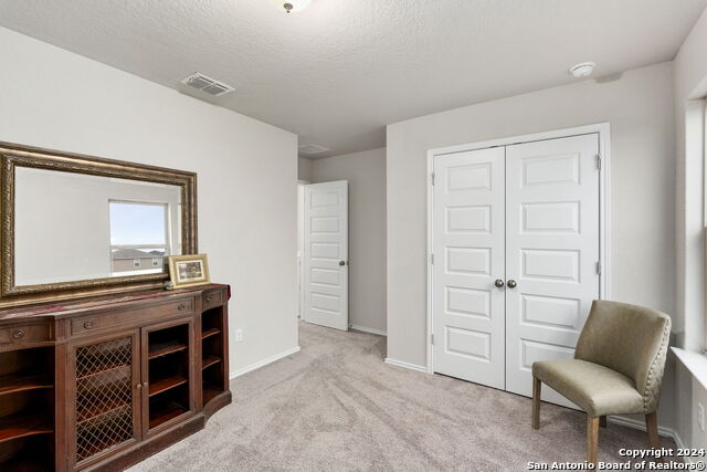 3354 Rancho Grande Property Photo 19