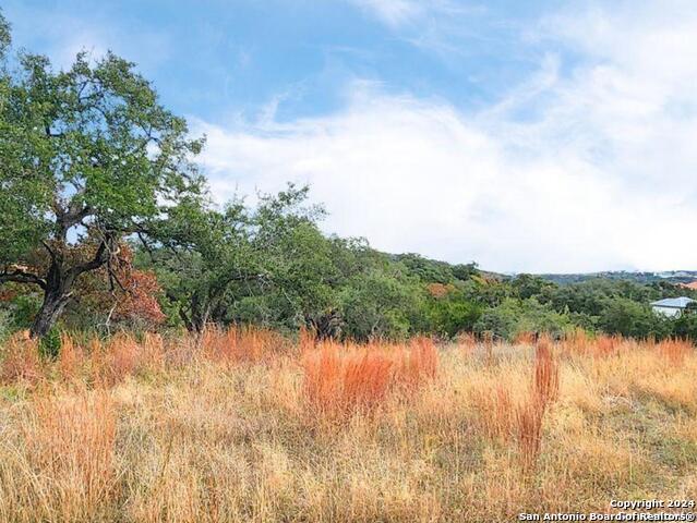 24335 Tres Arroyos Property Photo 15
