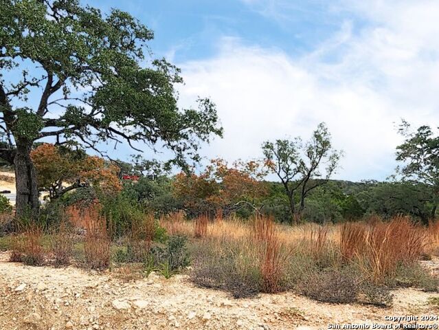 24335 Tres Arroyos Property Photo 16