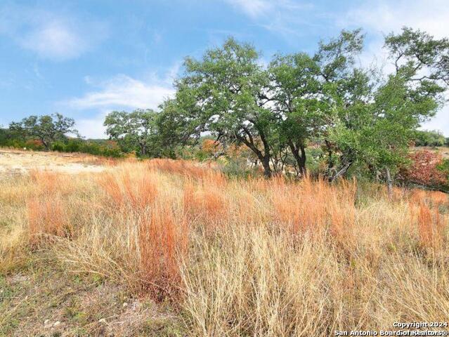 24335 Tres Arroyos Property Photo 18