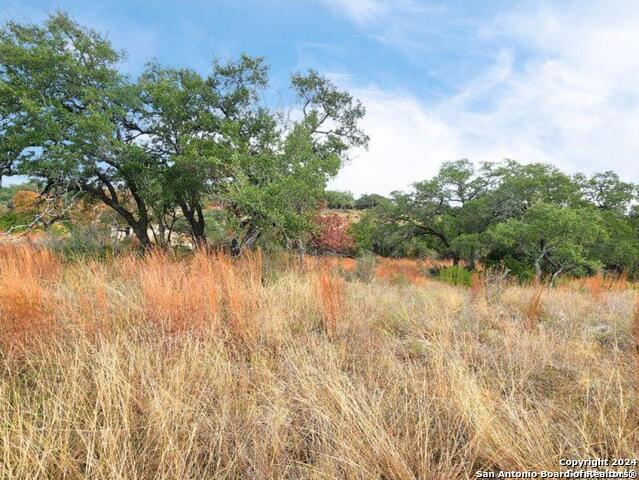 24335 Tres Arroyos Property Photo 19