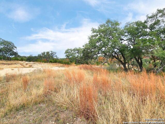 24335 Tres Arroyos Property Photo 20