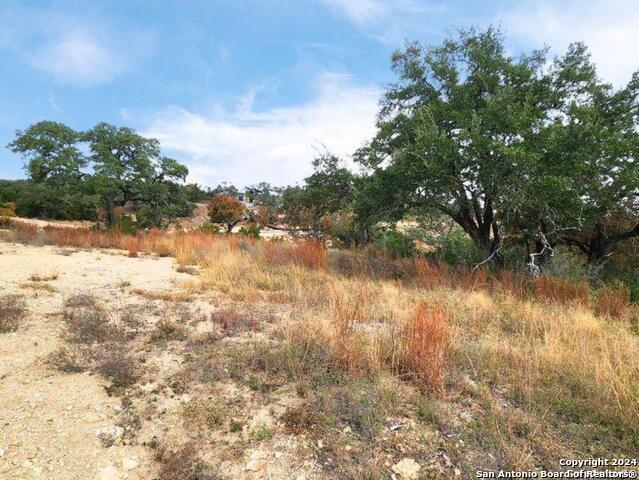 24335 Tres Arroyos Property Photo 21