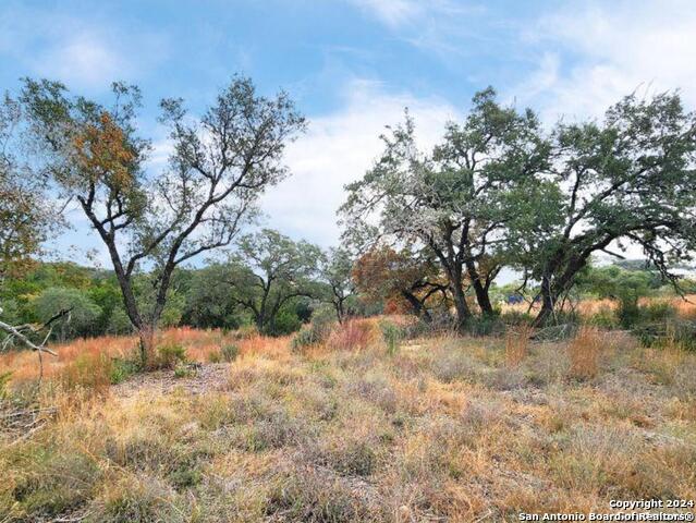 24335 Tres Arroyos Property Photo 23