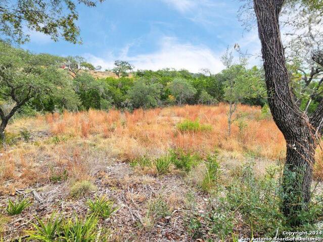 24335 Tres Arroyos Property Photo 25